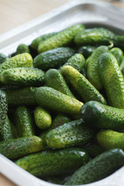 在厨房里图片下载