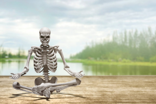 练瑜伽的骷髅图片下载