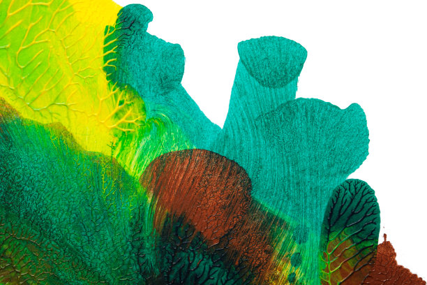 用罗夏墨迹法在白纸底色上画出绿色、黄色和棕色的抽象丙烯画色彩纹理图片下载