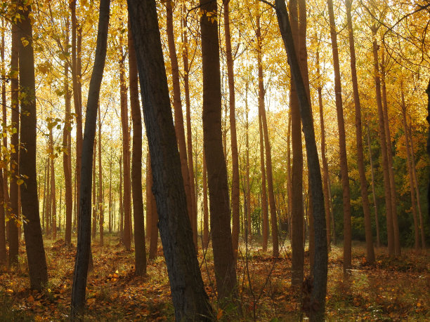 秋天大自然的主题图片下载