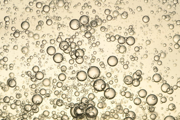 金香槟图片下载