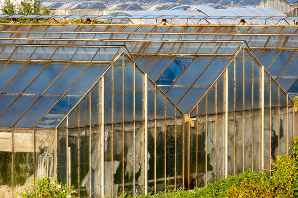 旧的温室图片下载