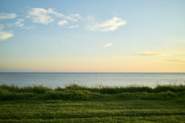 日落时的海滨长满草图片下载