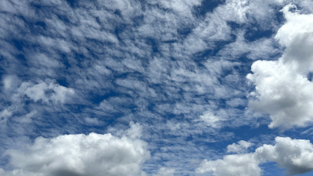 仰望美丽的蓝天和白色的积云。黄金海岸澳大利亚昆士兰图片下载