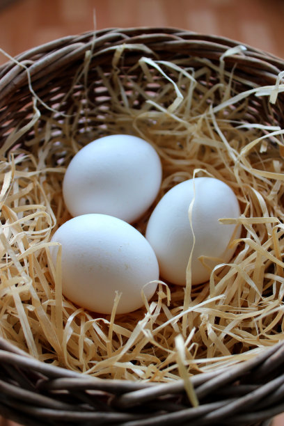 新鲜鸡蛋在一个自制编织篮垂直库存照片图片下载