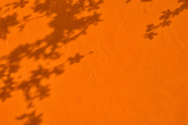 樱桃树的阴影在橙色混凝土墙纹理背景图片下载