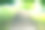 公园里的石头楼梯和绿色的草和树的美丽照片图片下载