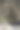 垂直特写可爱的猫头鹰与模糊的背景图片下载