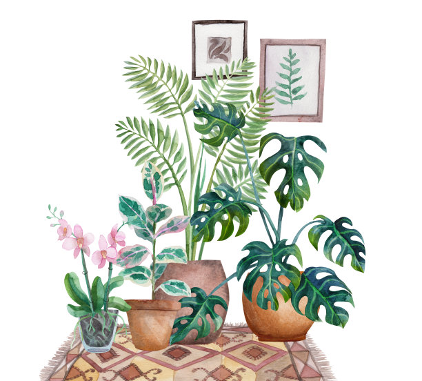 水彩槟榔棕榈在锅图片下载