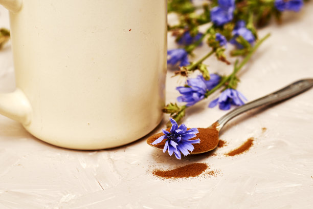 杯子里放着菊苣花的饮料，勺子里放着粉末和菊苣花图片下载