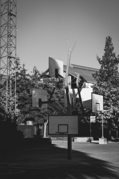 南特篮球网的垂直和单色照片图片下载