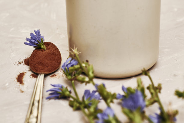 杯子里放着菊苣花的饮料，勺子里放着粉末和菊苣花图片下载