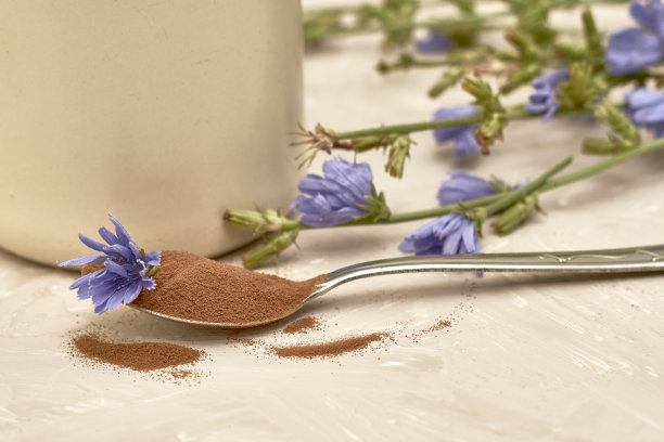 杯子里放着菊苣花的饮料，勺子里放着粉末和菊苣花图片下载