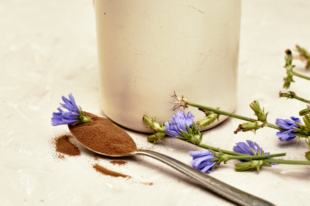 杯子里放着菊苣花的饮料，勺子里放着粉末和菊苣花图片下载