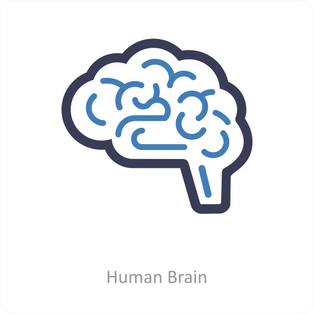 人类的大脑图片下载