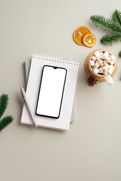 冬天的概念。俯视垂直照片的智能手机记事本钢笔马克杯的可可与棉花糖八角干橙片和松树枝孤立的灰色背景与空白图片下载