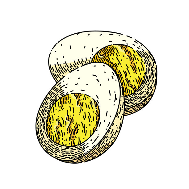 水煮蛋手绘矢量草图图片下载