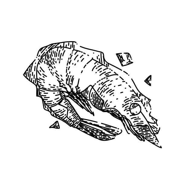 速冻虾手绘矢量图片下载