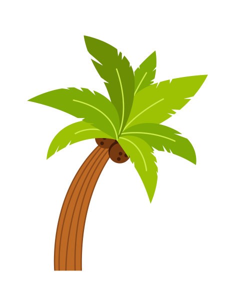 热带植物棕榈。矢量图图片下载