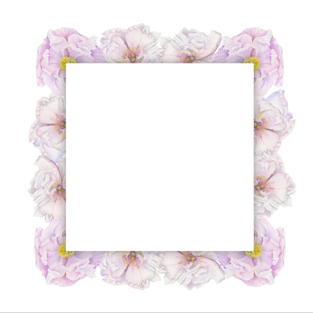 水彩画方形框，配以手绘的粉红牡丹花、芽、叶。孤立的白色背景。用于请柬，婚礼，爱情或贺卡，纸张，印刷，纺织图片下载