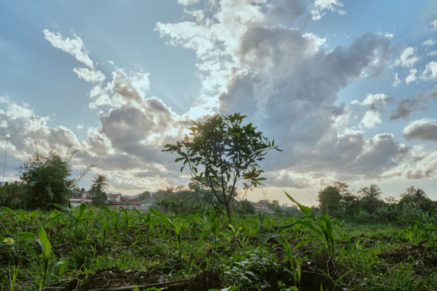 美丽的天空视图图片下载