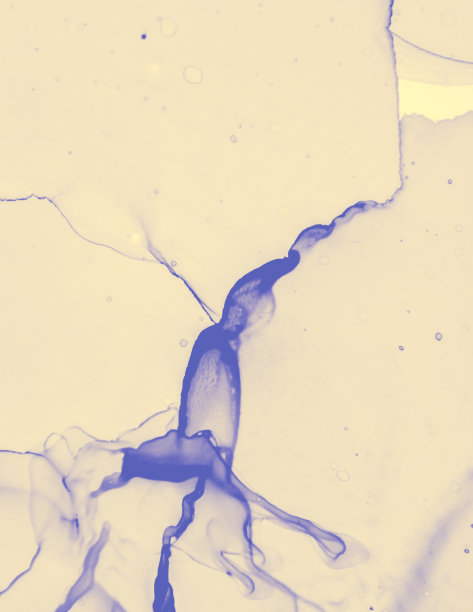 婚礼卡片模板。黄色粉彩液体水。图片下载