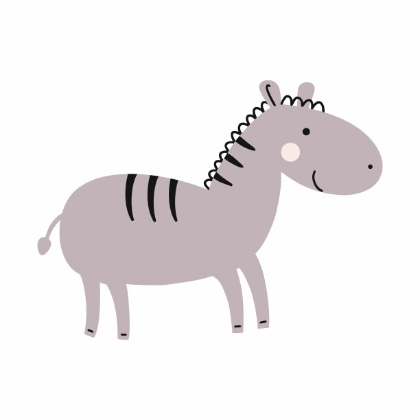 白色背景上的斑马。非洲的动物。图片下载