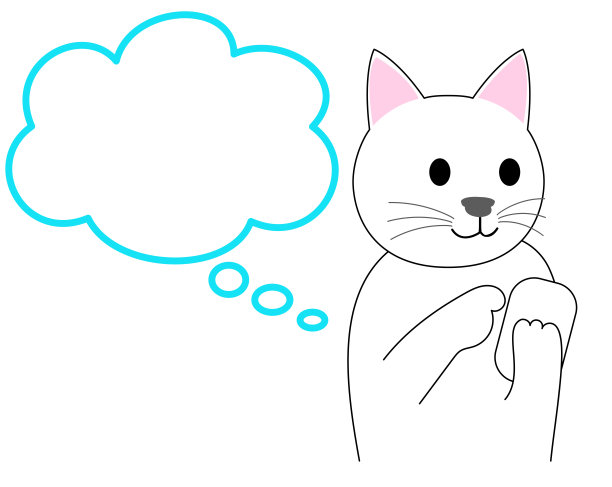 白猫用手机:白色背景图片下载