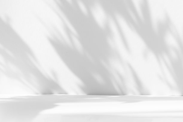 抽象的白色工作室背景的产品介绍。空荡荡的房间，有窗户、花朵和棕榈叶的影子。带有复制空间的3d房间。夏季音乐会。模糊的背景。图片下载