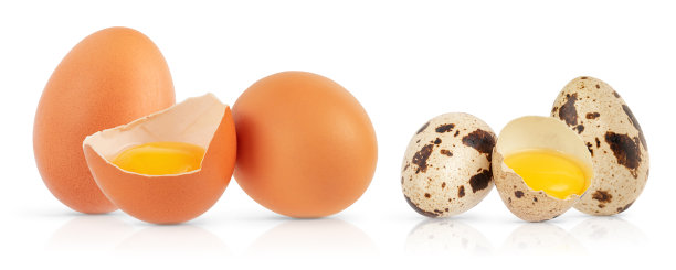 一套鸡和鹌鹑蛋在白色背景与修剪路径。图片下载