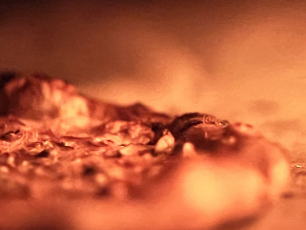 用木烤箱做披萨图片下载