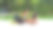 在泰国苏梅岛，两名白人美女穿着比基尼，背着包坐在沙滩上图片下载