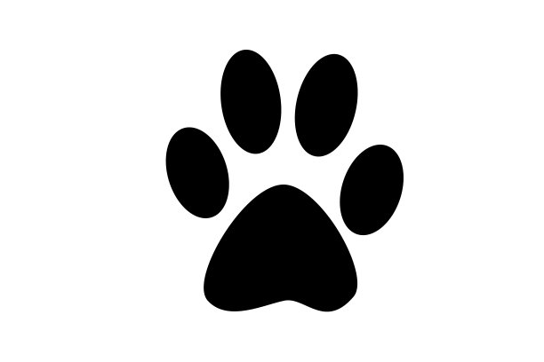 白色背景上的狗脚印图片下载