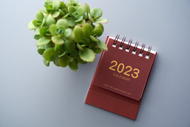 2023台历和多肉植物的彩色背景图片下载