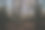 秋天的森林图片下载