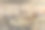 黑尾鹿在田野中奔跑。科罗拉多州野生动物。科罗拉多高原上的野鹿图片下载