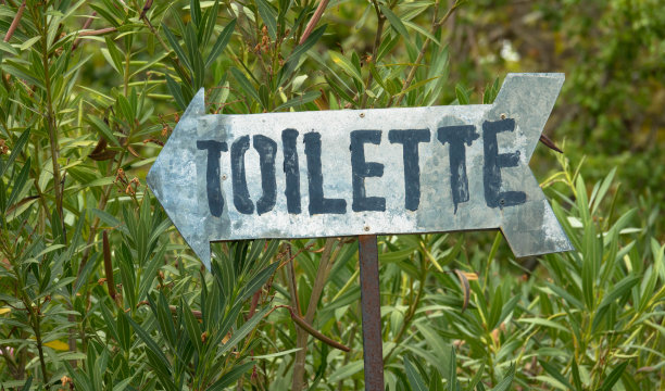 金属标志与厕所箭头符号对绿色树叶。模糊的背景。近距离图片下载