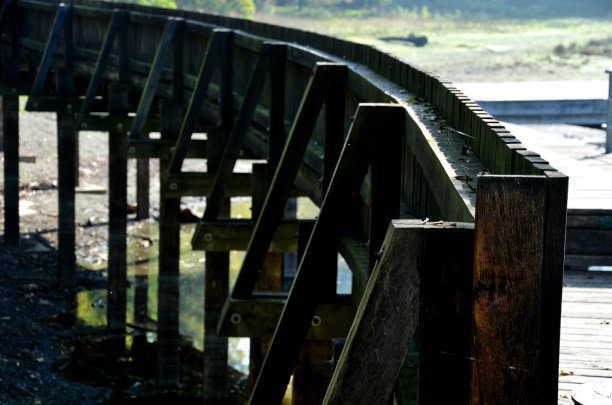 木制的座位区，长凳衬着水边的天然木材。池塘边的露台，有一张野餐凳和咖啡馆里的旧圆桌。港口码头在湖的上方，有许多鸭子图片下载