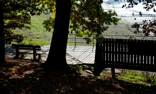 木制的座位区，长凳衬着水边的天然木材。池塘边的露台，有一张野餐凳和咖啡馆里的旧圆桌。港口码头在湖的上方，有许多鸭子图片下载