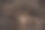 女性头皮中心有健康的头发图片下载