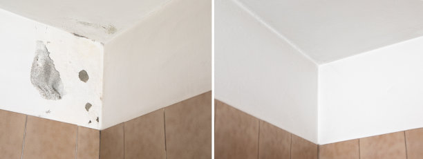 浴室墙面前后防霉处理和重刷图片下载