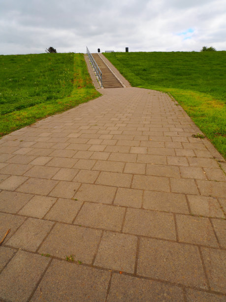 垂直拍摄的走道由石头制成，周围是绿色的草图片下载