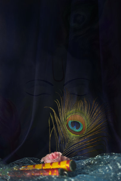 蓝色背景上的孔雀羽毛代表主奎师那图片下载