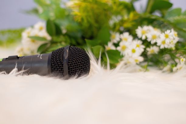 婚礼期间，白色羽毛上的动态麦克风特写图片下载