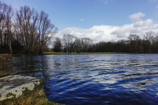 美丽的照片，一个清澈的湖被森林中的树木包围图片下载