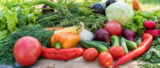 在乡间别墅的夏季花园中，新鲜蔬菜作为背景。图片下载