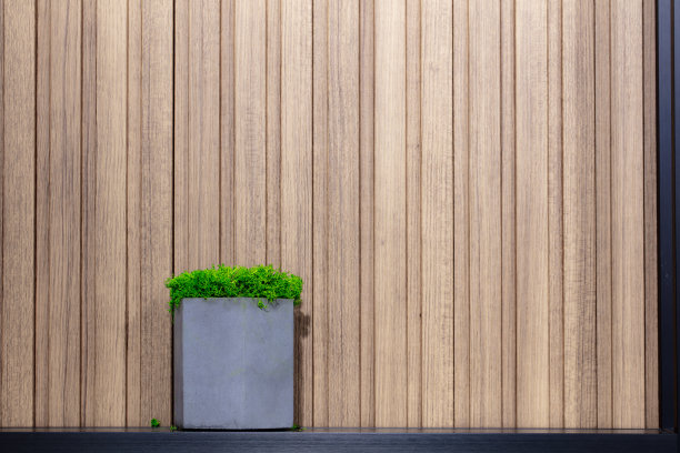 盆栽稳定苔藓在木制背景图片下载