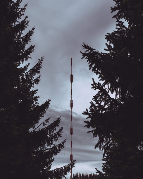 树林里的发射塔图片下载