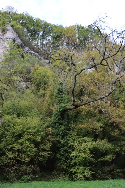 悬崖在勃艮第图片下载