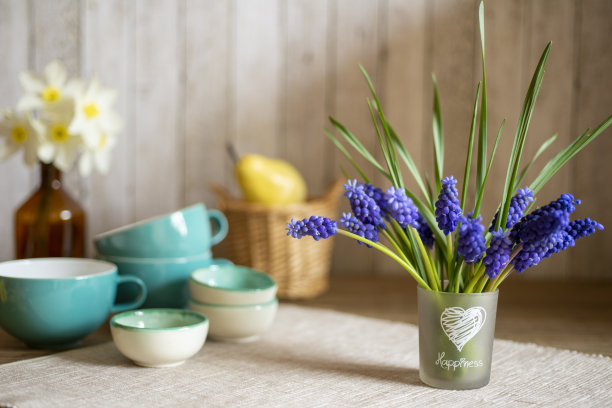 葡萄风信子花束与春天民主桌上图片下载